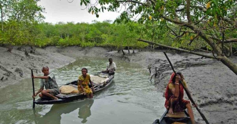 বাগেরহাটে পূর্ব-সুন্দরবনে আবারও দস্যুতা, ১০ জেলেকে অপহরণ