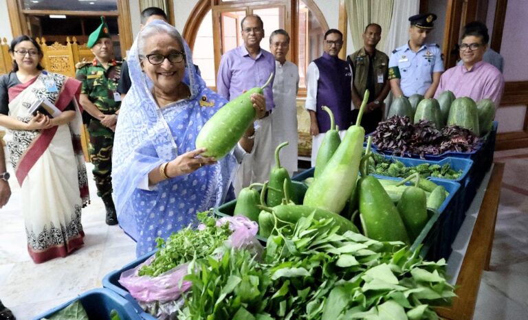 প্রধানমন্ত্রীর বিশেষ উদ্যোগ গোপালগঞ্জে উৎপাদিত সবজি এলো গণভবনে