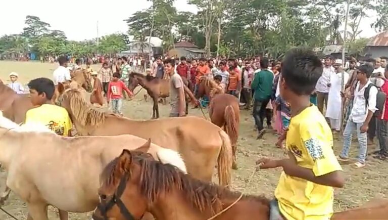 কলাপাড়ায় ঐতিহ্যবাহী ঘোড় দৌড় প্রতিযোগিতা অনুষ্ঠিত