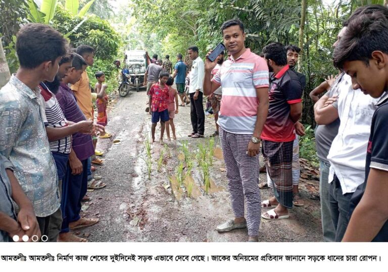 আমতলীতে নির্মাণের দুই দিনেই দেবে গেছে সড়ক, ধানের চারা রোপন করে প্রতিবাদ