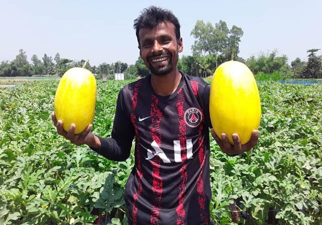 জয়পুরহাটে তরমুজ চাষে আশার আলো দেখছেন কৃষকরা