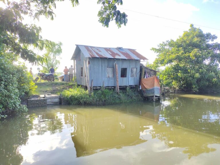 ৬ টি খালে বাঁধ দিয়ে প্রভাবশালী নেতার মাছ চাষ, ভয়ে মুখ খুলছে না ক্ষতিগ্রস্ত কৃষক