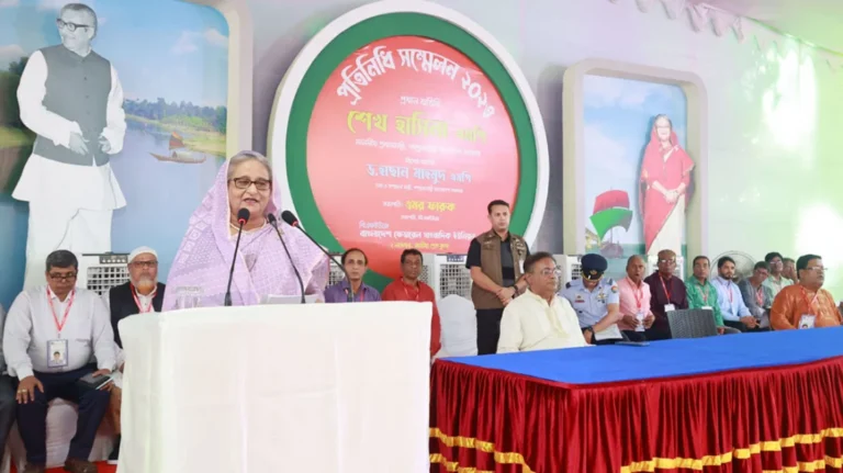 সাংবাদিক নির্যাতন ও পুলিশ হত্যার ঘটনা আন্তর্জাতিক অঙ্গনে তুলে ধরুন : প্রধানমন্ত্রী