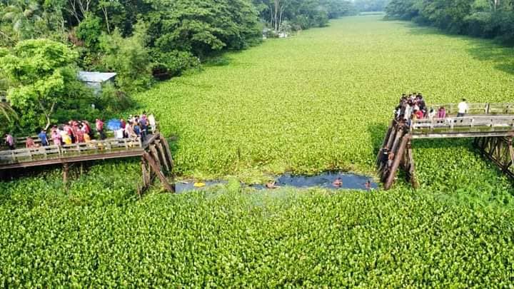 আমতলীতে ব্রীজ ভেঙ্গে ৯ জনের মৃত্যু, বর ও কনের বাড়ীতে শোকের মাতম