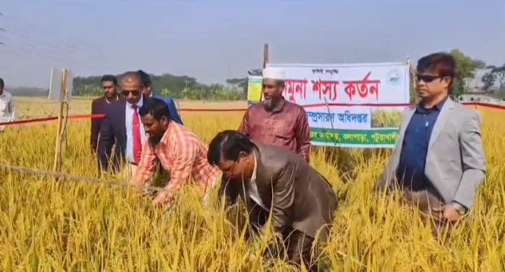 ফসল কাটা ও রাস্তার পাশে সবজি প্রদর্শনী