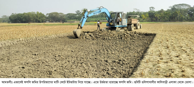 ফসলি জমির মাটি ইটভাটায়! কৃষি উৎপাদন বিপর্যয়ের মুখে