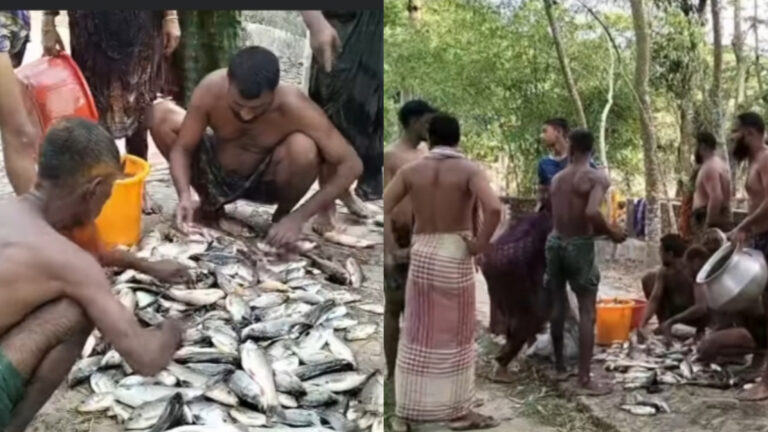 কলাপাড়ায় যুবলীগ নেতার পুকুরে বিষ প্রয়োগ করে দেড় লক্ষাধিক টাকার ক্ষতি সাধন
