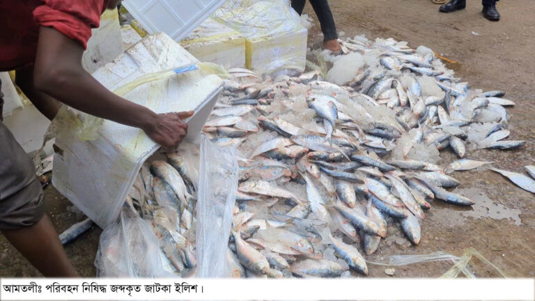 যাত্রীদের ৯৯৯ ফোনে জাটকা ইলিশ জব্দ