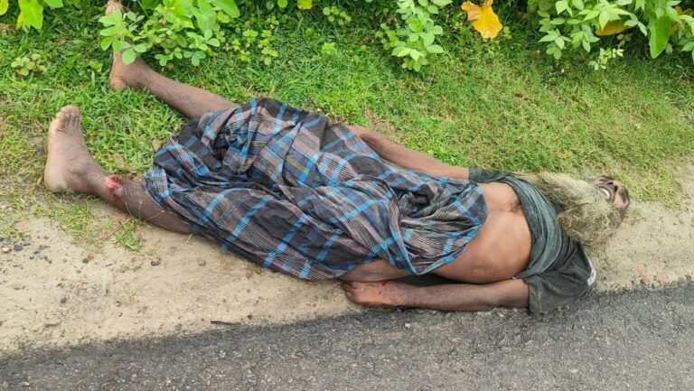কলাপাড়ায় মহাসড়কের পাশে অজ্ঞাত ব্যক্তির লাশ উদ্ধার