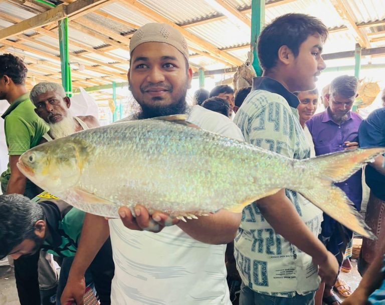 মহিপুরে এক ইলিশ বিক্রি ১৪ হাজার টাকায়