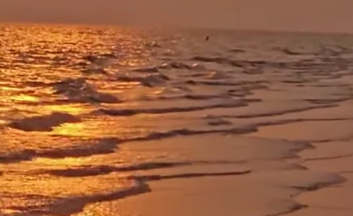 কুয়াকাটায় বিশ্ব পর্যটন দিবসে বর্ণাঢ্য র‌্যালি, আলোচনা সভা