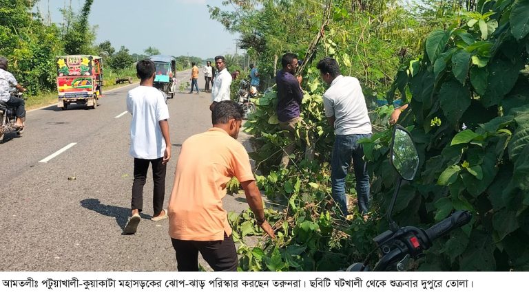 তরুণদের উদ্যোগে ৩৭ কিলোমিটার মহাসড়কের ঝোপ-ঝাড় পরিস্কার
