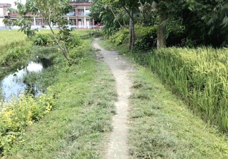 ইসলামপুরে কাবিখা-কাবিটা প্রকল্পে অনিয়ম দুর্নীতি