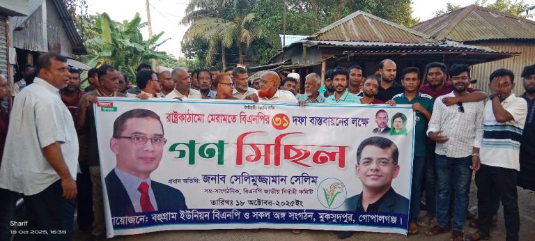 মুকসুদপুরে বিএনপি ঘোষিত রাষ্ট্র কাঠামো মেরামতে ৩১ দফা বাস্তবায়নে গণ মিছিল