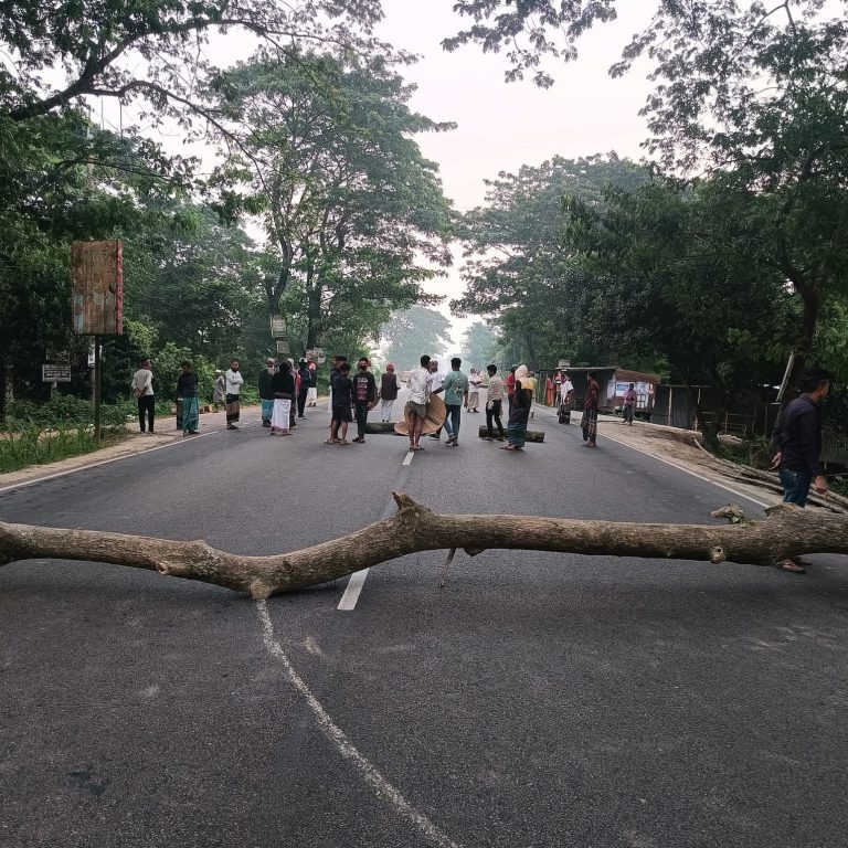 ফরিদপুরে রাস্তায় গাছ ফেলে মহাসড়ক অবরোধ