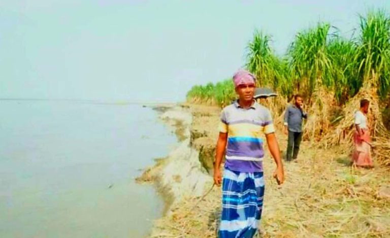 ইসলামপুরে যমুনা নদীর ভয়াবহ ভাঙনে বিপাকে আখচাষীরা