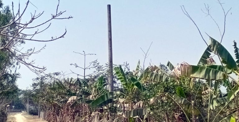 কলাপাড়ায় এখনও কেরোসিন বাতিই ভরসা শত শত পরিবারের