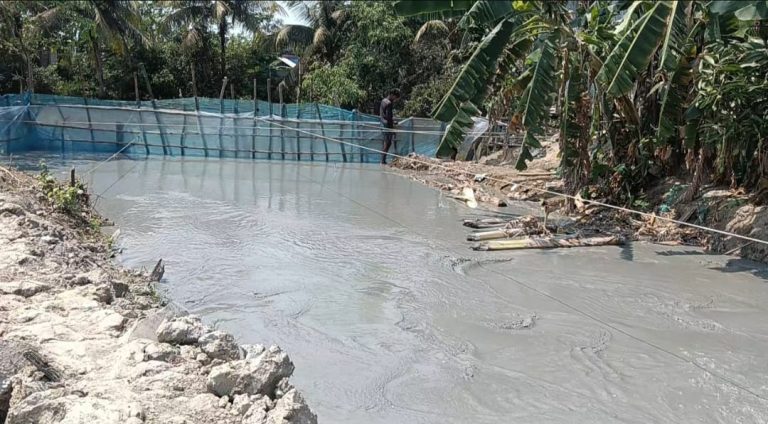 কলাপাড়ায় সরকারী খাল দখল করে মাছ চাষ, কৃষকের জীবীকা নিয়ে শঙ্কা