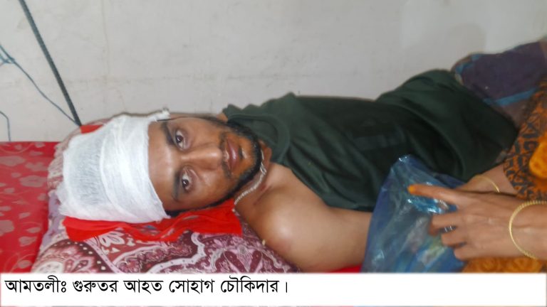 আইসোটেক তাপবিদ্যুৎ কেন্দ্রের জাহাজ ঘাটের খেয়া পাড়াপাড় নিয়ে দ্বন্ধ দুইজনকে পিটিয়ে জখম