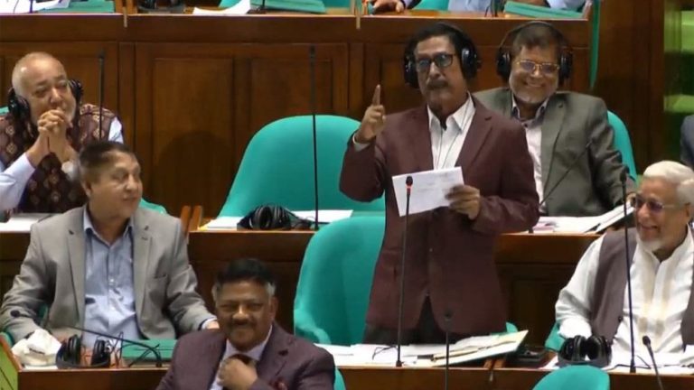 হিমালয়ের সঙ্গে পিলারের তুলনা আর মুক্তিযুদ্ধের সঙ্গে চব্বিশের তুলনা এক সংসদে ফজলুর রহমান