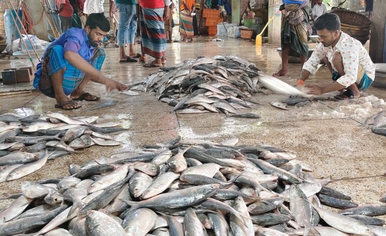 পহেলা বৈশাখকে সামনে রেখে হু হু করে বেড়েছে ইলিশের দাম