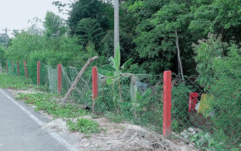 কুয়াকাটায় শত কোটি টাকার সরকারি খাস জমি অনিয়মে বন্দোবস্ত নিয়ে বিক্রীর পাঁয়তারা
