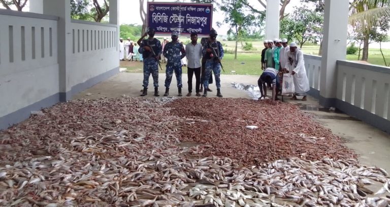 কলাপাড়ায় কোস্ট গার্ড’র অভিযানে ৩৯ লাখ টাকার সামুদ্রিক মাছ জব্দ