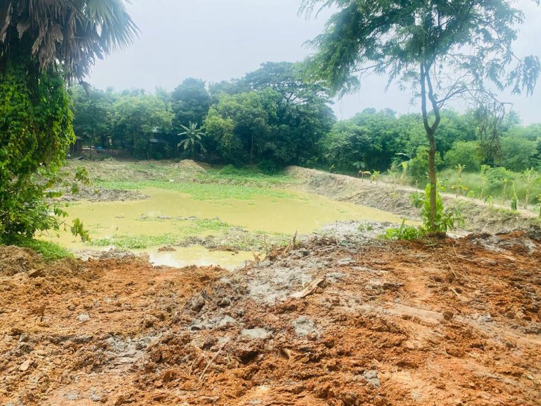 কালীগঞ্জে মাটি ব্যবসায়ীর জরিমানা, ইয়াবাসহ যুবকের জেল