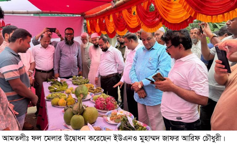 আমতলীতে ফল মেলা