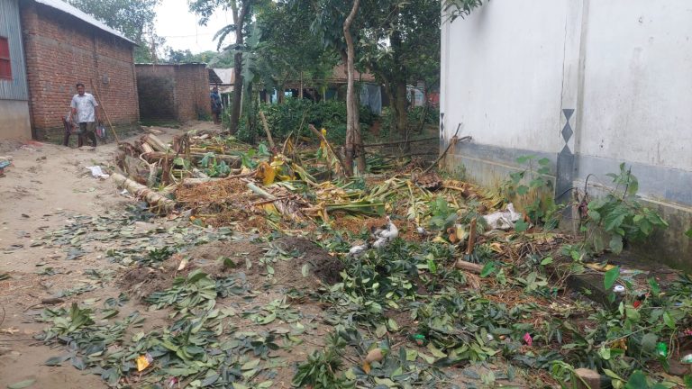 শ্রীপুরে গাছ কেটে জমি দখল ও হামলার বিচারের দাবিতে থানায় অভিযোগ