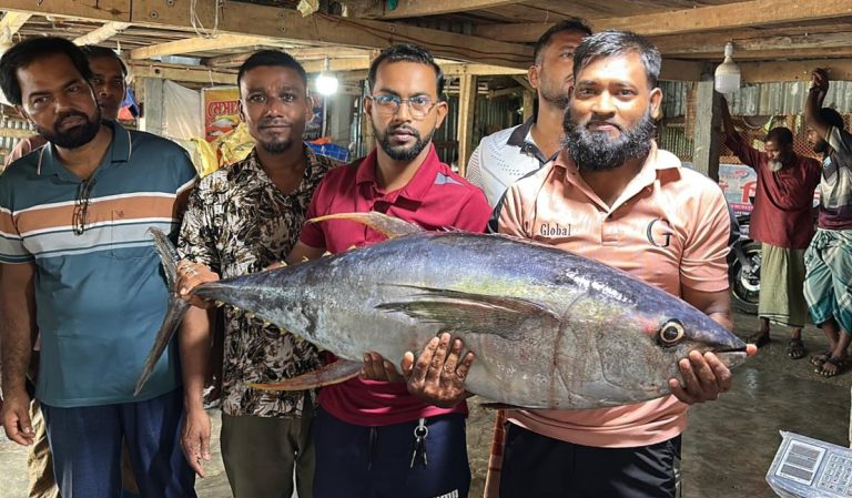 বঙ্গোপসাগরে জালে ধরা পড়ল ২৯ কেজির বিরল ইয়েলোফিন টুনা, ৪০ হাজারে বিক্রি