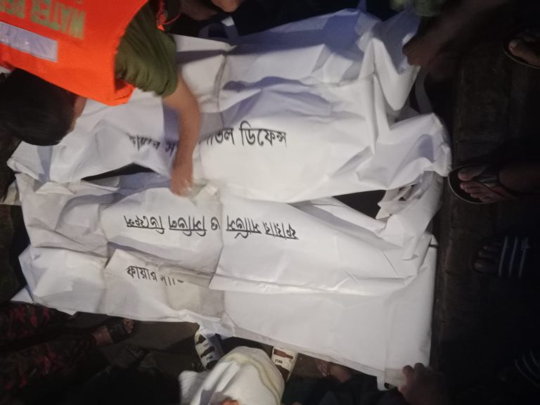 গাজীপুরের শ্রীপুরে পুকুরের পানিতে ডুবে দুই শিশুর মৃত্যু