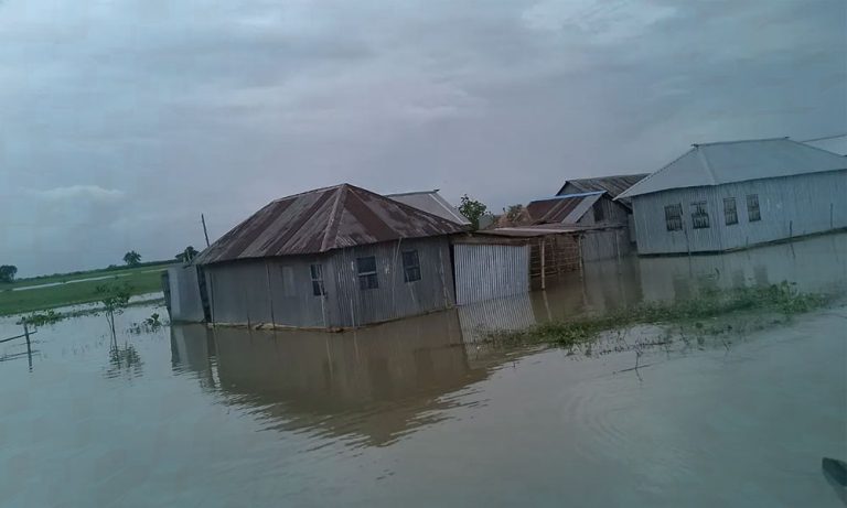 পদ্মায় পানি বেড়ে ৩ জেলায় বন্যা